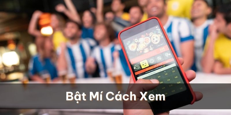 Bật mí cách xem kèo tài xỉu bóng đá chuẩn nhất cho người mới